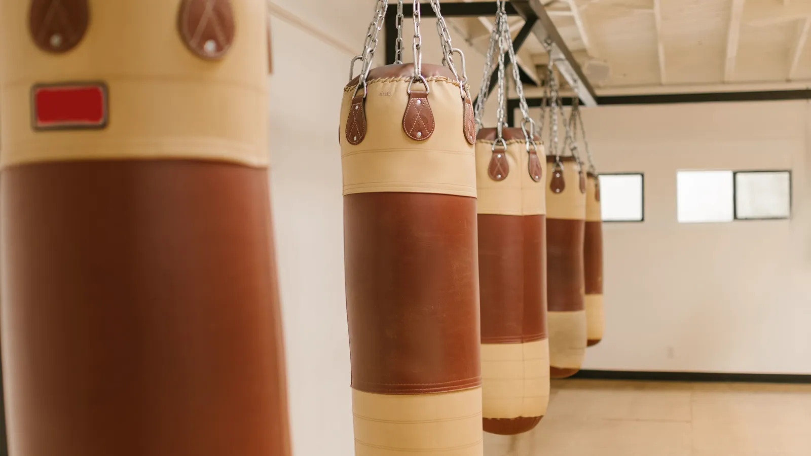 Row of heavy bags hanging in a well-lit combat sports gym