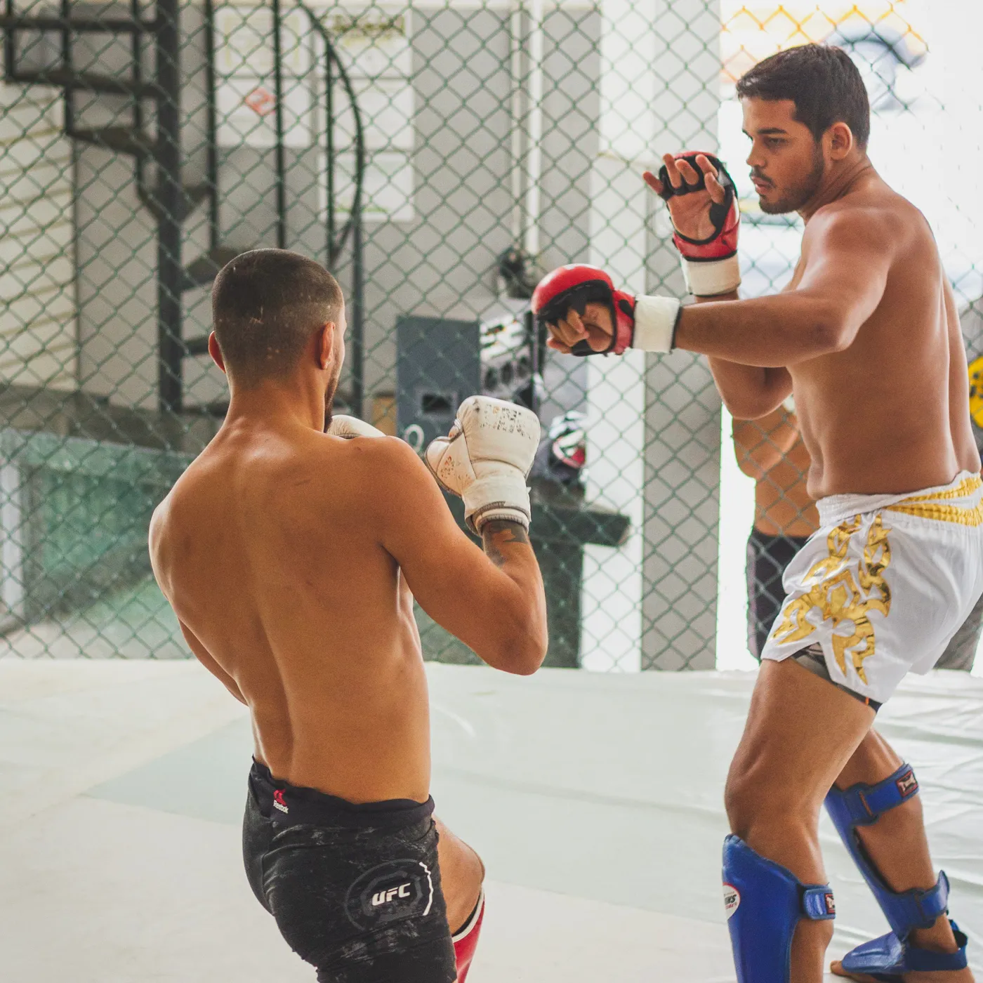 Fighters wearing shin and instep guards during MMA training